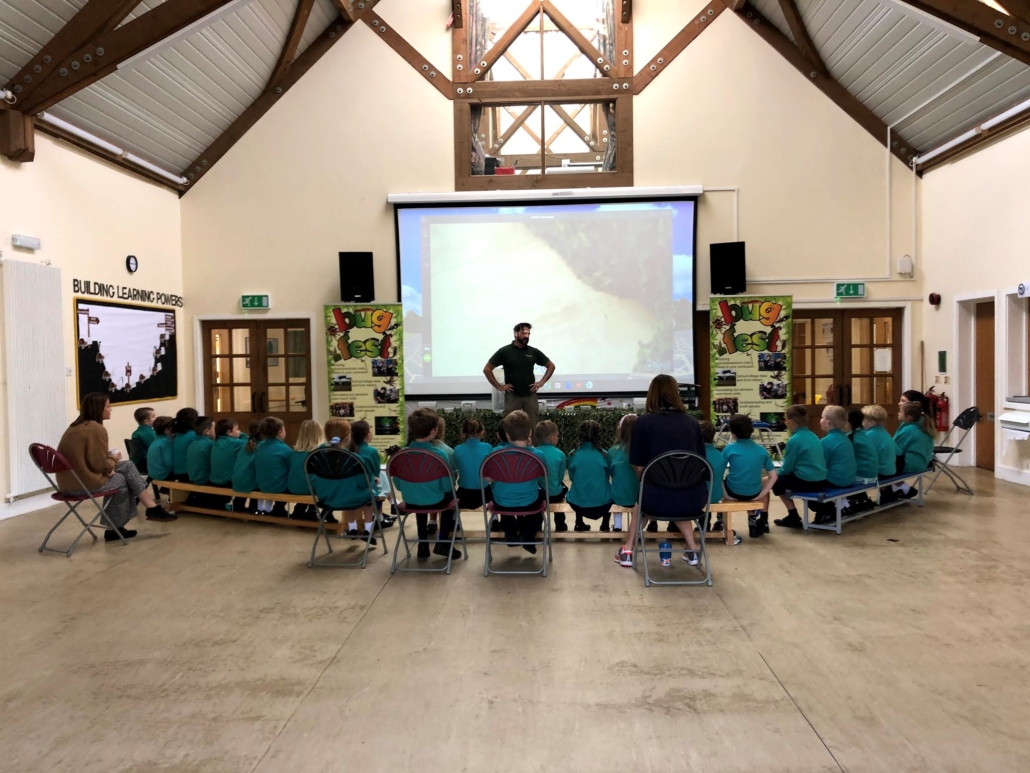 insect school visits