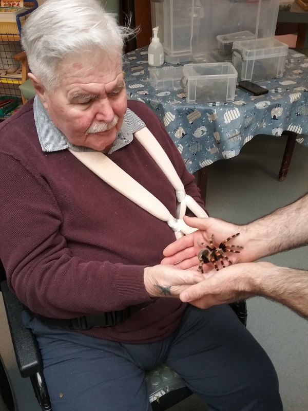 animal visits in care homes