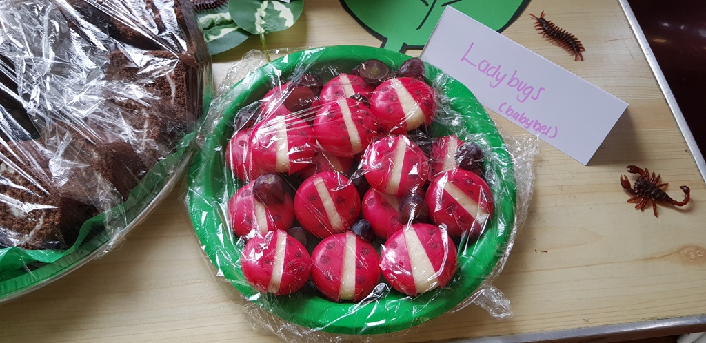 ladybird babybels