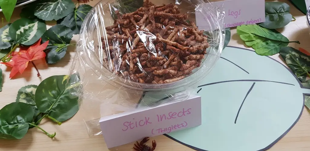 stick insect twigletts